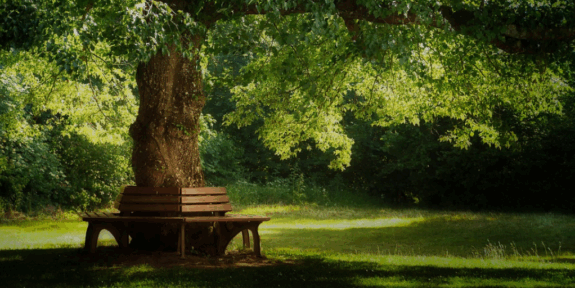 truth-story-hiatus-jan-2019