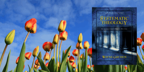 providence reading systematic theology with grudem - truth story