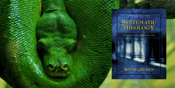 sin-systematic-theology-grudem-truth-story