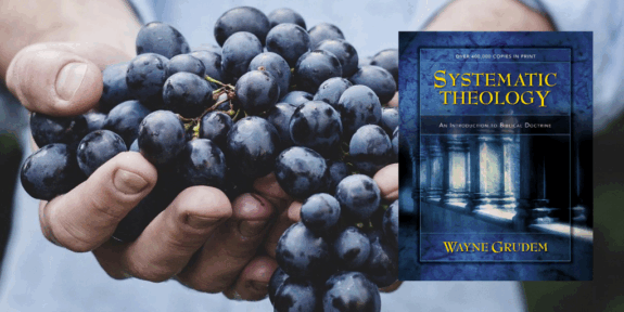 common-grace-systematic-theology-truth-story