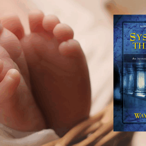 regeneration-systematic-theology-truth-story