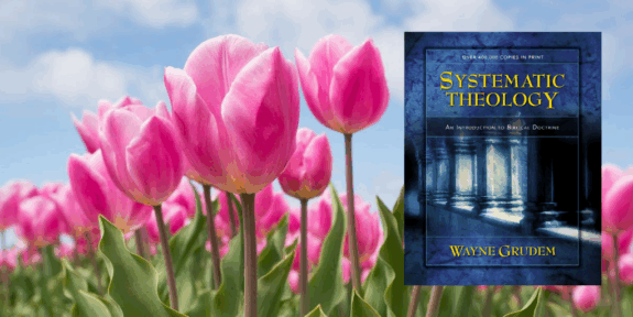 glorification-systematic-theology-grudem-truth-story